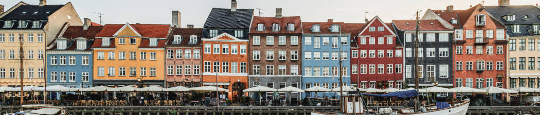 Ferie med hund i Danmark destination image
