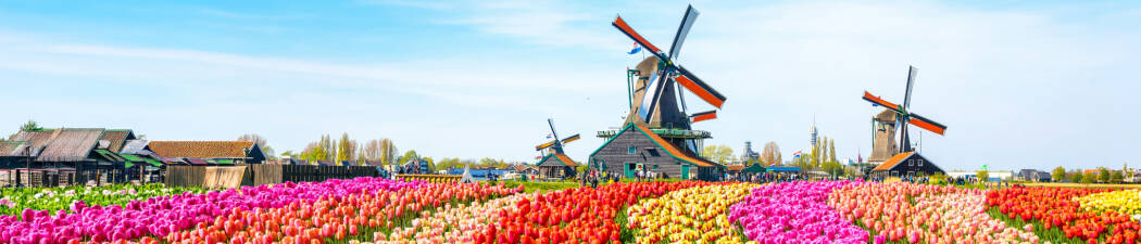 Holland destination image