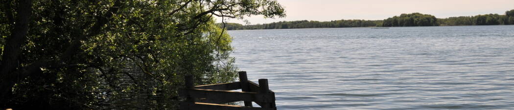 Halvpension packages in Sorø destination image