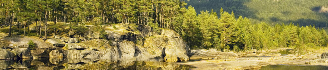 Halvpension packages in Frederikstad destination image