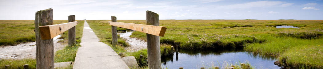 Forårstilbud i Schleswig-Holstein destination image