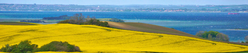 Forårstilbud i Østjylland destination image