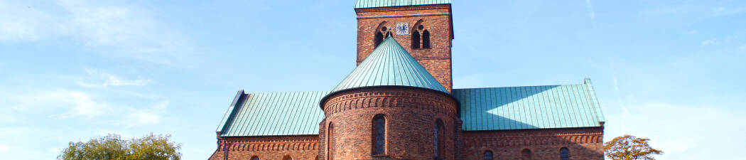 Halvpension packages in Ringsted destination image