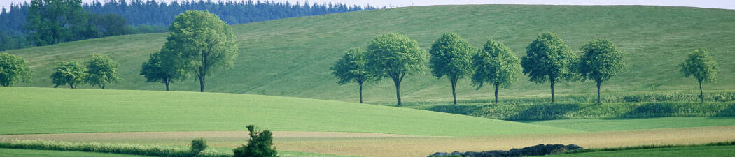 Se vores udvalg af Afbudsrejser i Grindsted destination image