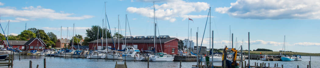 Halvpension packages in Skælskør destination image