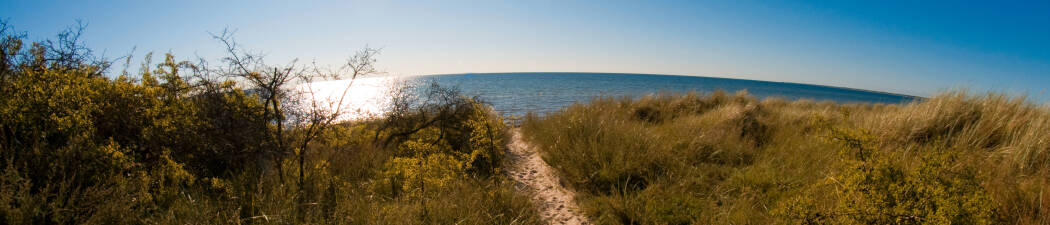 Forårstilbud i Nykøbing destination image