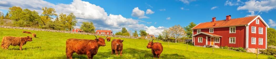 Wellness in Småland| Spa & Erholung destination image