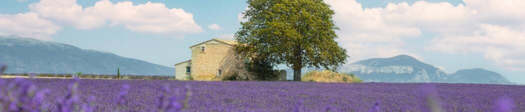 Bestbewertete Hotels in Provence destination image