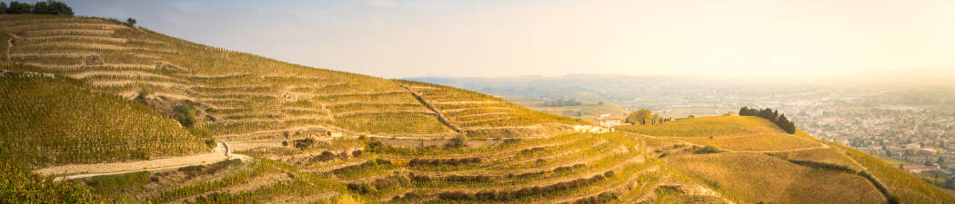 Weinreisen in Nordfrankreich: Ein Genusserlebnis destination image
