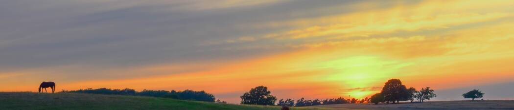 Sommerurlaub in Österlen destination image