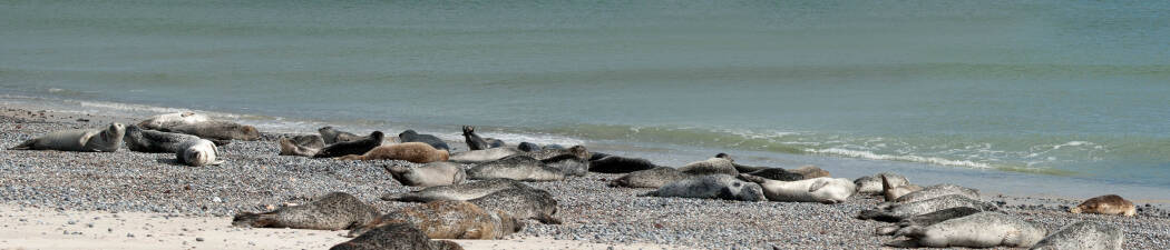 Wellness in Wattenmeer| Spa & Erholung destination image