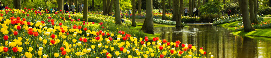 Selbstfahrer-Urlaub in Gebiet südlich von Holland – finde das perfekte Hotel! destination image