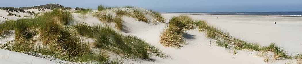 Selbstfahrer-Urlaub in Nordholland – finde das perfekte Hotel! destination image