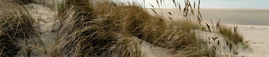 Wellness in Westjütland| Spa & Erholung destination image