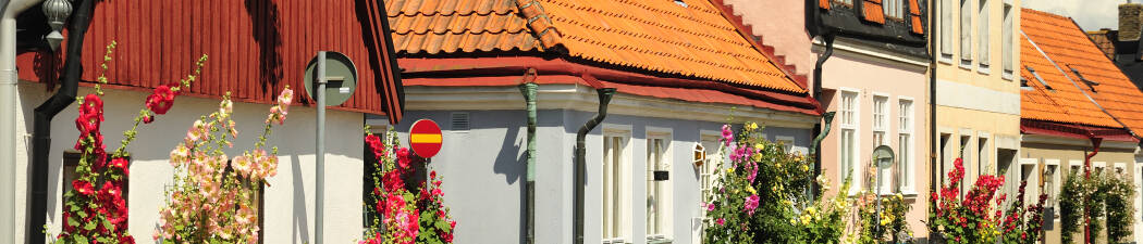 Half board packages in Ystad destination image