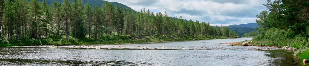 Utforsk naturen med Vandring i Rysstad destination image