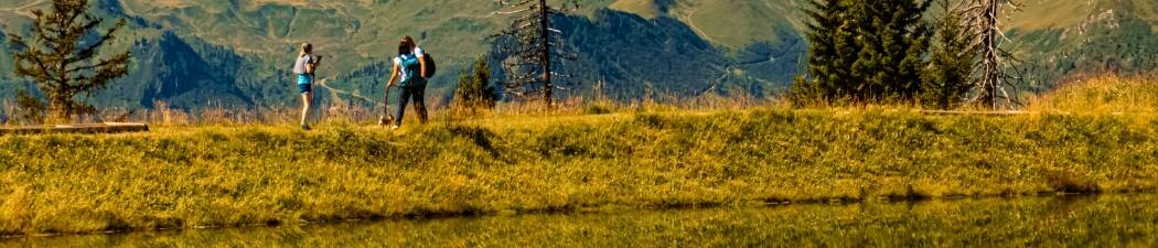 Utforsk naturen med Vandring i Saint Johann im Pongau destination image