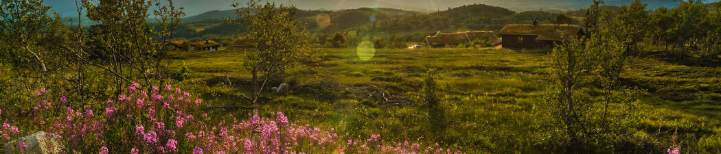 Utforsk naturen med Vandring i Rauland destination image
