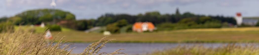 Bilferie i Nykøbing M – finn det perfekte hotellet! destination image