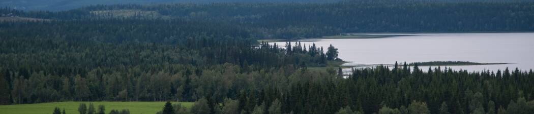 Bilferie i Jämtland – finn det perfekte hotellet! destination image