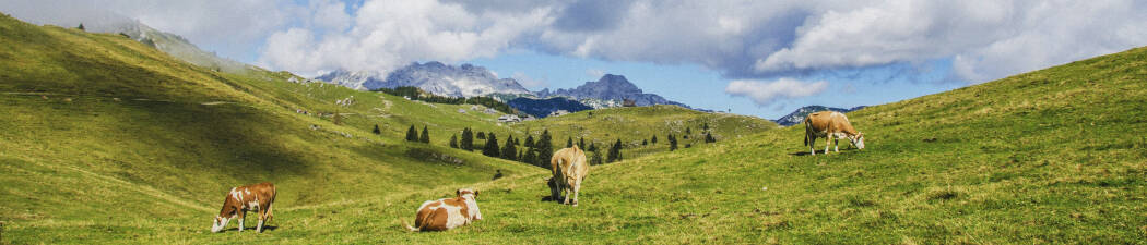 Fjellferie i Sveits destination image
