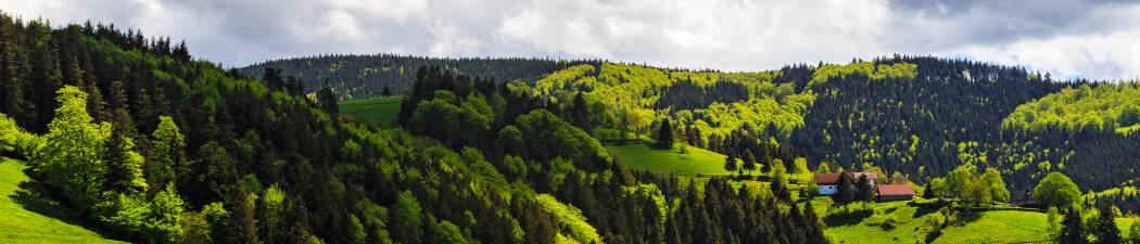 Se alle våre Pakkereiser i nærheten av Schwarzwald destination image