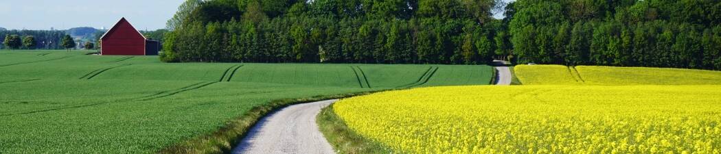 Utforsk naturen med Vandring i Skåne destination image