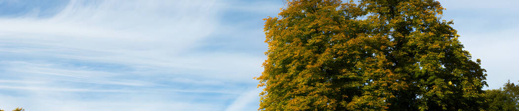 Bilferie i Gentofte – finn det perfekte hotellet! destination image