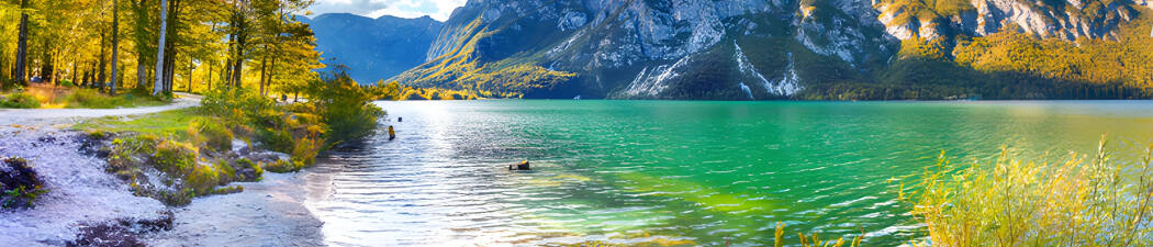 Utforsk naturen med Vandring i Bohinj destination image