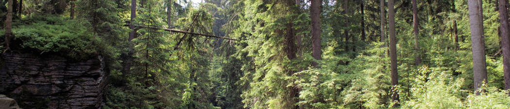 Utforsk naturen med Vandring i Erzgebirge destination image