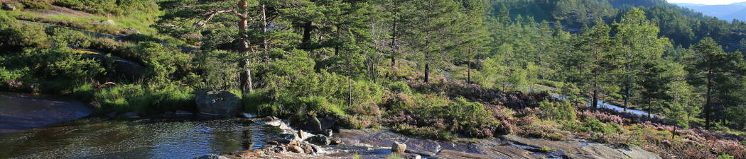 Utforsk naturen med Vandring i Åseral destination image