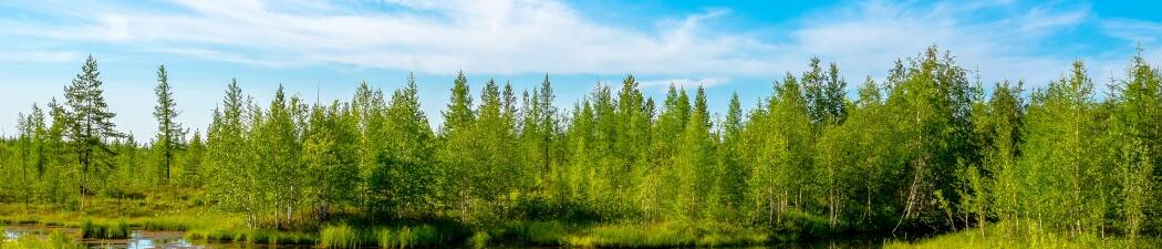 Bilsemester i Charlottenberg – hitta det perfekta hotellet! destination image