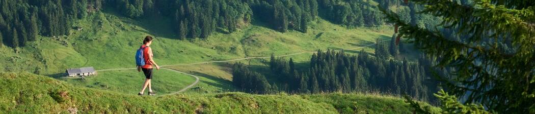 Hotellpaket i Maribor destination image