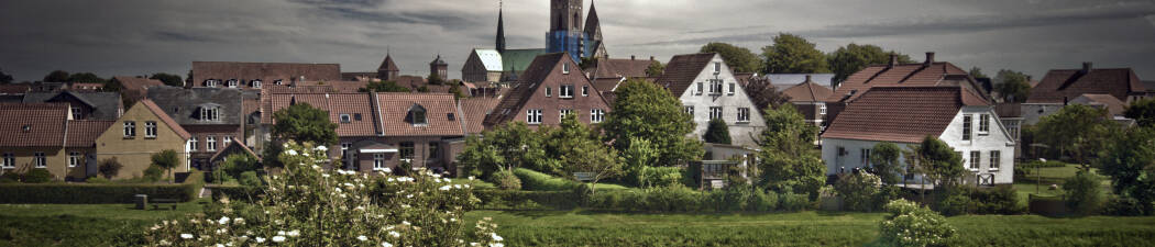 Historiska hotell i Ribe destination image