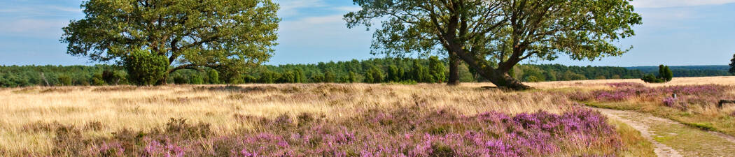Halvpension paket i Heide destination image