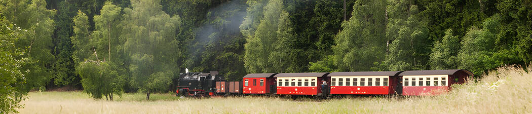 Värdshus i Harz destination image