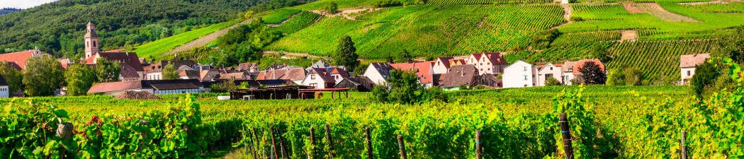 Wellness i Alsace destination image