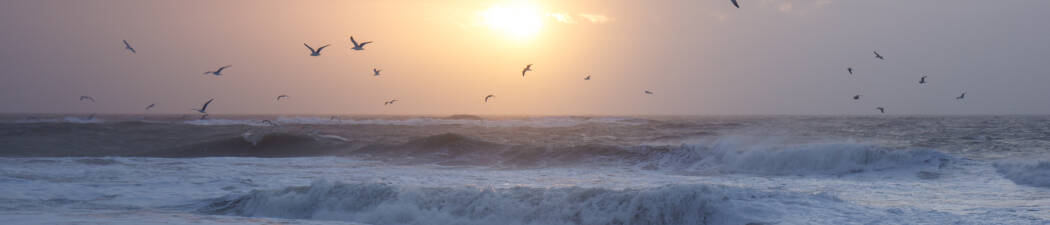 Wellness i Thisted destination image