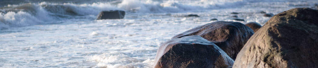 Resa med hund i Djursland destination image