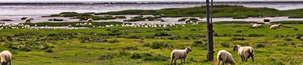 Vårerbjudanden i Tarm destination image