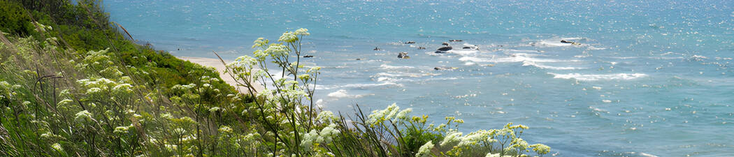 Bilsemester i Allinge – hitta det perfekta hotellet! destination image