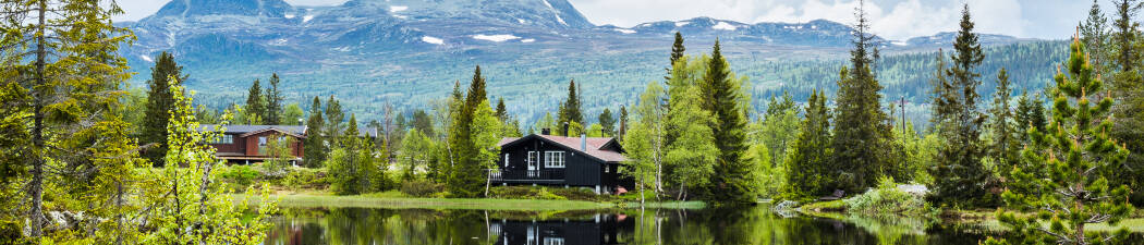 Utforska naturen med Vandring i Telemark destination image