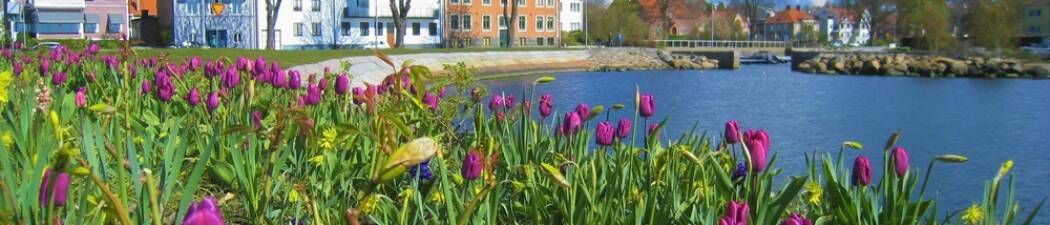 Halvpension paket i Karlshamn destination image