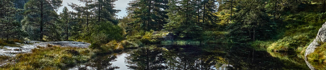 Utforska naturen med Vandring i Västra Norge destination image