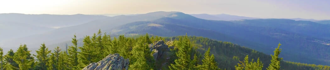Utforska naturen med Vandring i Nationalpark Bayerischer Wald destination image
