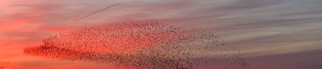 Bilsemester i Södra Jylland – hitta det perfekta hotellet! destination image