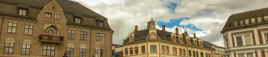 Halvpension paket i Hamar destination image
