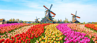 Tag på billig bilferie i tulipanlandet Holland