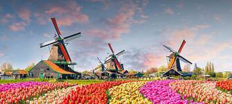 Go on a cheap car holiday in the tulip country of Holland