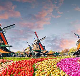 Dra på billig bilferie i tulipanlandet Nederland